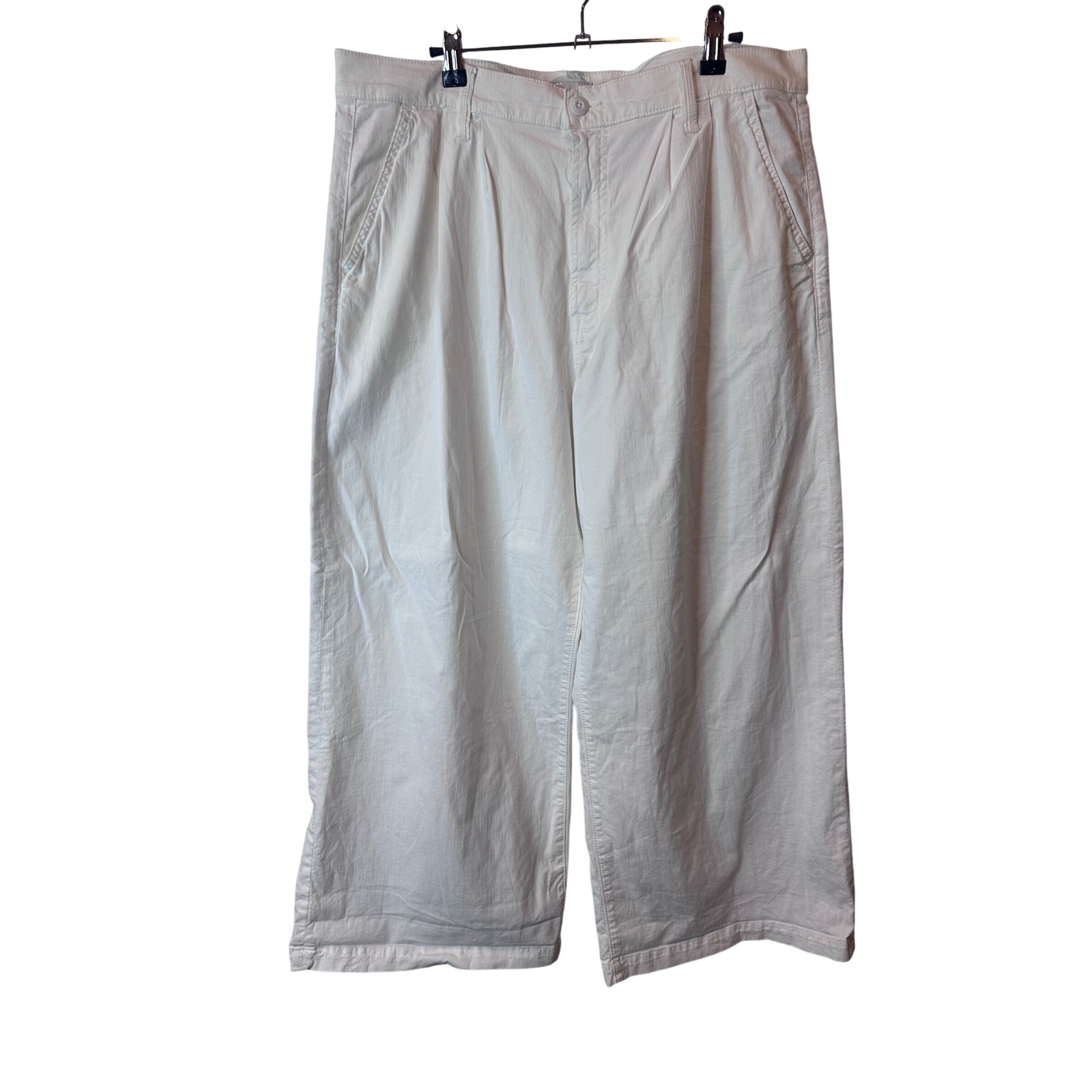 Nwot Mother 34 Wide Leg Pleated Pouty Prep Crop Cuff